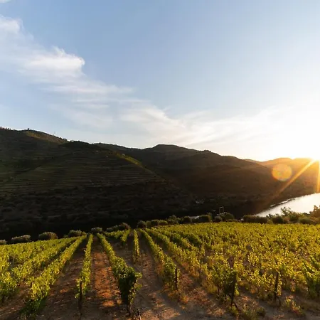 Quinta De S. Jose - Pensión *