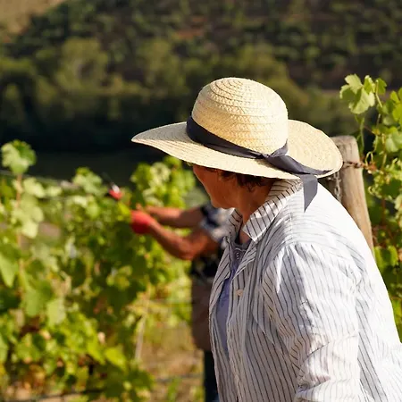 Pensión Quinta De S. Jose - *