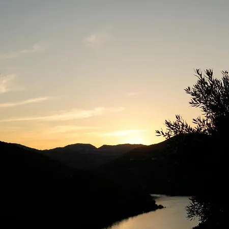 Quinta De S. Jose - * Ervedosa do Douro