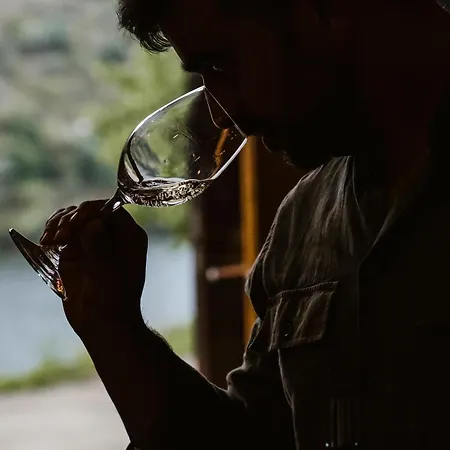Quinta De S. Jose - *