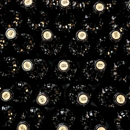 Quinta De S. Jose - בית הארחה