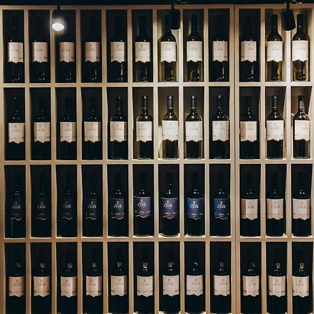 Penzion Quinta De S. Jose -