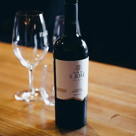 Quinta De S. Jose - בית הארחה 4*