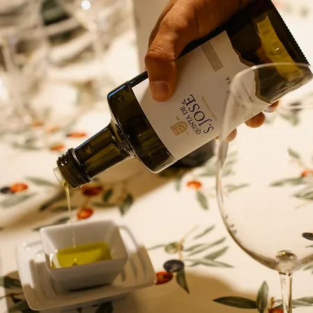 בית הארחה Quinta De S. Jose - Ervedosa do Douro