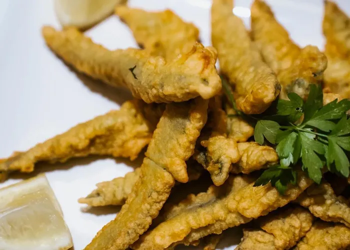 Quinta De S. Jose - Pensión