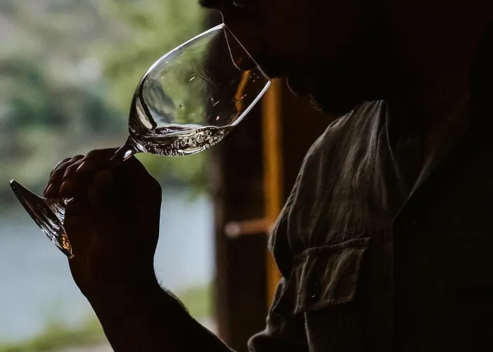 Quinta De S. Jose - 4*