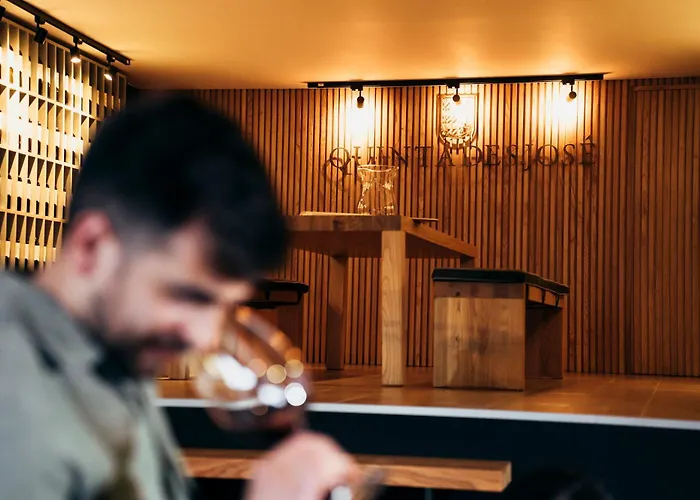 Quinta De S. Jose - 4* Ervedosa do Douro