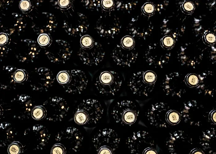 Quinta De S. Jose - Pensión