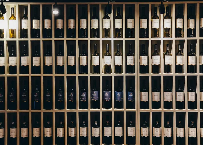 Pensión Quinta De S. Jose -