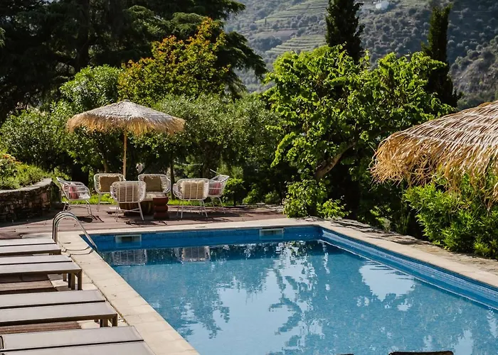 Quinta De S. Jose - Pensión Ervedosa do Douro