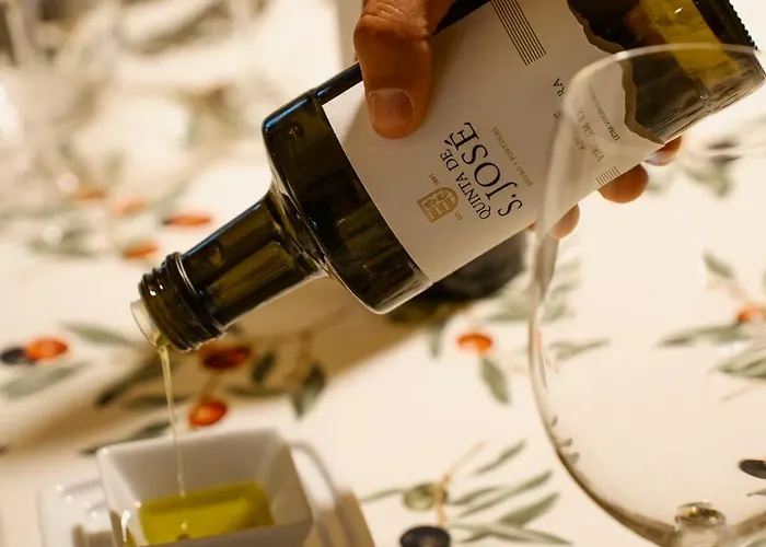 Pensión Quinta De S. Jose - Ervedosa do Douro